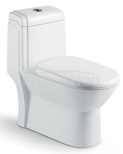 Siphonic one-piece toilet 9166